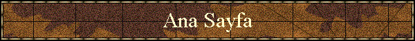 Ana Sayfa